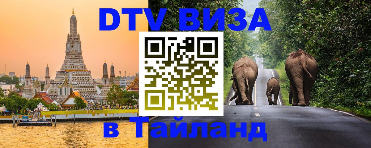 Сколько стоит DTV виза — актуальные цены, оформление даже без документов - 